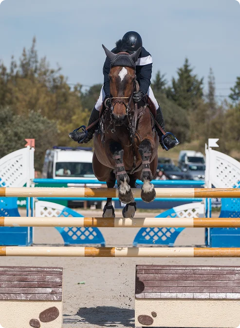 Compétition de saut d'obstacles ; un cavalier vêtu de noir et blanc, monté sur un cheval alezan, franchit un obstacle avec précision. À l'arrière-plan, on aperçoit des arbres et des véhicules en stationnement.